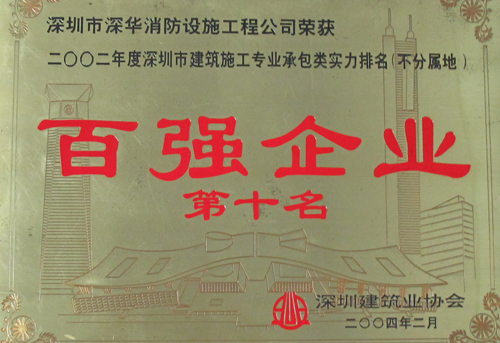 百强企业
